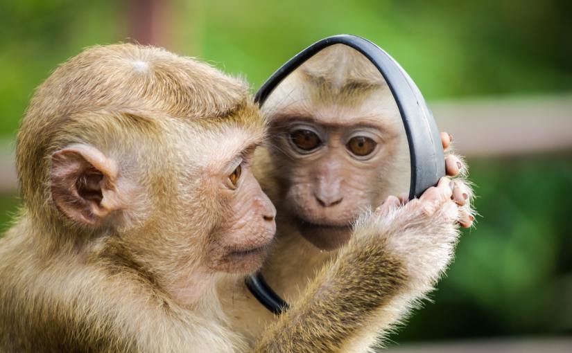 How to create a 25% productivity hike: Lessons from Shopify’s meetings&nbsp;purge